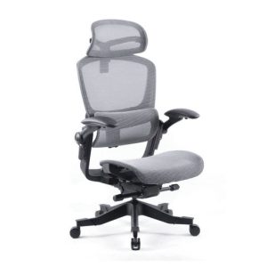 Ghế công thái học Epione Easy Chair (Màu Xám)
