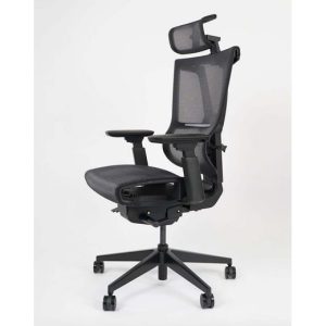 Ghế công thái học Epione Easy Chair Pro (Màu Đen)