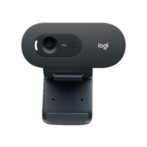 Webcam Logitech C505e Black