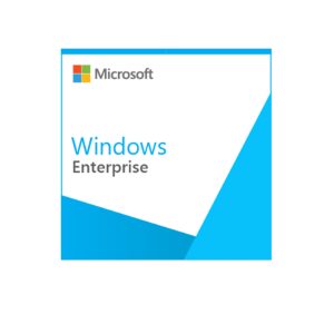 Hệ điều hành Windows Enterprise Single Language (64-bit)