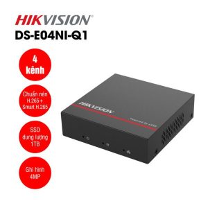 Hikvision DS-E04NI-Q1