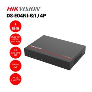 Hikvision DS-E04NI-Q1/4P