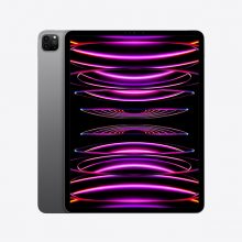 iPad Pro M2 12.9 inch Wifi 1TB MNXW3ZA/A Space Grey