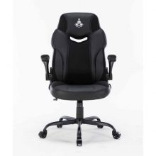 Ghế game Warrior Raider Series WGC203 Black