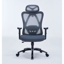 Ghế công thái học Warrior Hero Series WEC501 Plus Black Gray