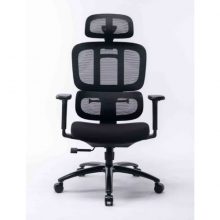 Ghế công thái học Ergonomic Warrior Hero Series WEC509 Black