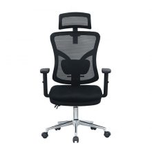 Ghế công thái học E-Dra EEC212