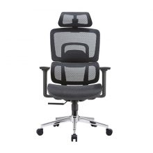 Ghế công thái học E-Dra EEC213