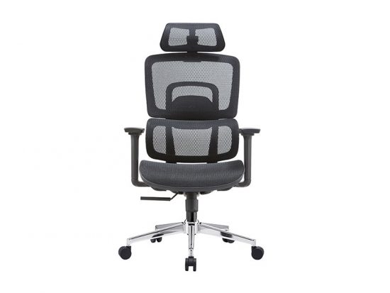 Ghế công thái học E-Dra EEC213