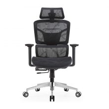 Ghế công thái học E-Dra EEC220
