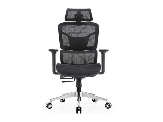 Ghế công thái học E-Dra EEC220
