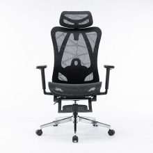 Ghế công thái học E-Dra EEC224