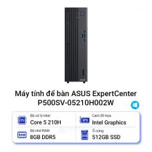 Máy tính để bàn ASUS ExpertCenter P500SV-05210H002W