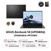 Laptop ASUS Zenbook 14 UM3406KA-PP113WS