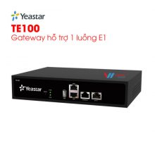 Gateway Yeastar TE100