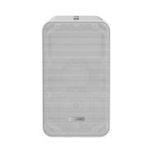 Loa Hikvision DS-QAE0420G1-V