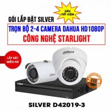 Trọn bộ 2 camera DAHUA HD1080P cho cửa hàng (SILVER D42019-3)