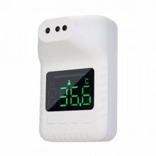 Nhiệt kế K3X
