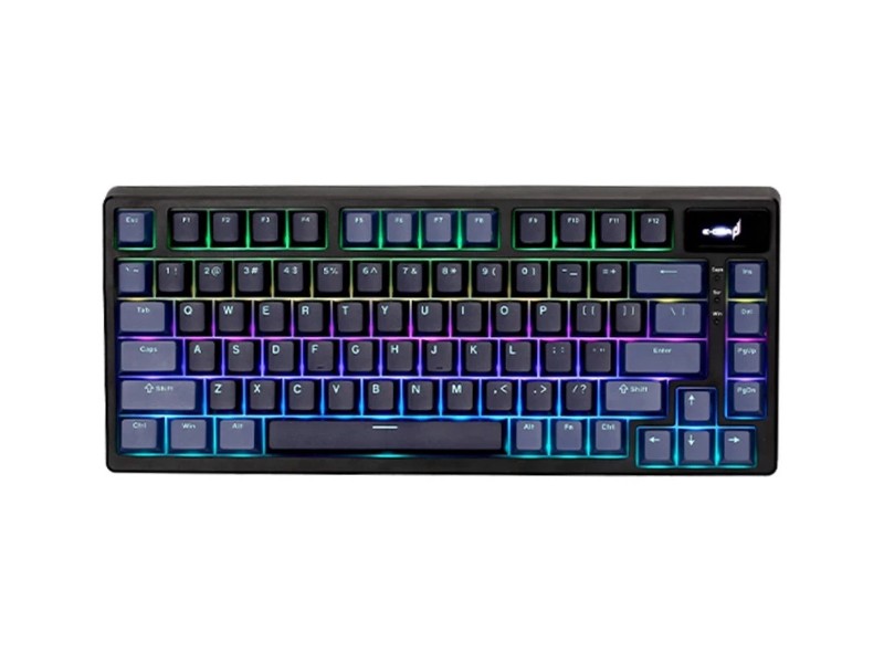 29165_ban_phim_co_gaming_e_dra_ek375pro_alpha Bàn phím cơ gaming E-DRA EK375PRO Alpha
