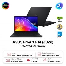 Laptop ASUS ProArt P14 H7407BA-SU304W